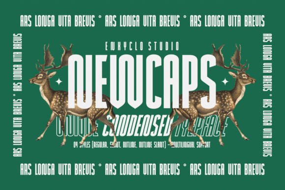 Newcaps Display Font for Web Design